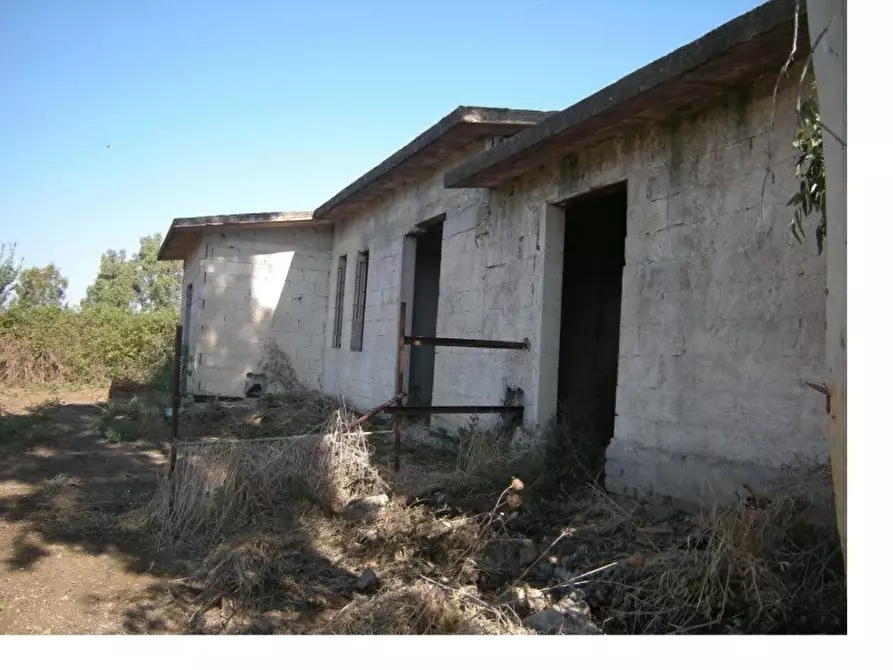 Immagine 9 di Rustico / casale in vendita  in via degli ippocastani a Ardea