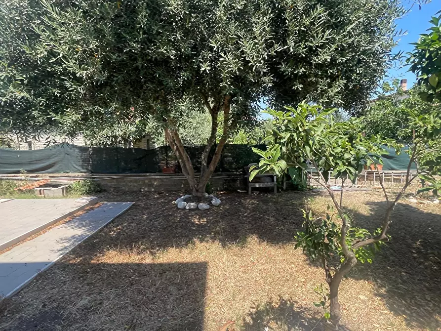 Immagine 3 di Appartamento in vendita  in Via Mar Ligure a Pomezia