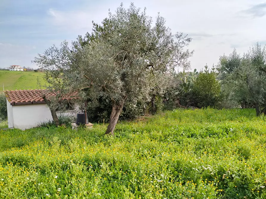 Immagine 4 di Casa indipendente in vendita  in via montagnanello a Ardea