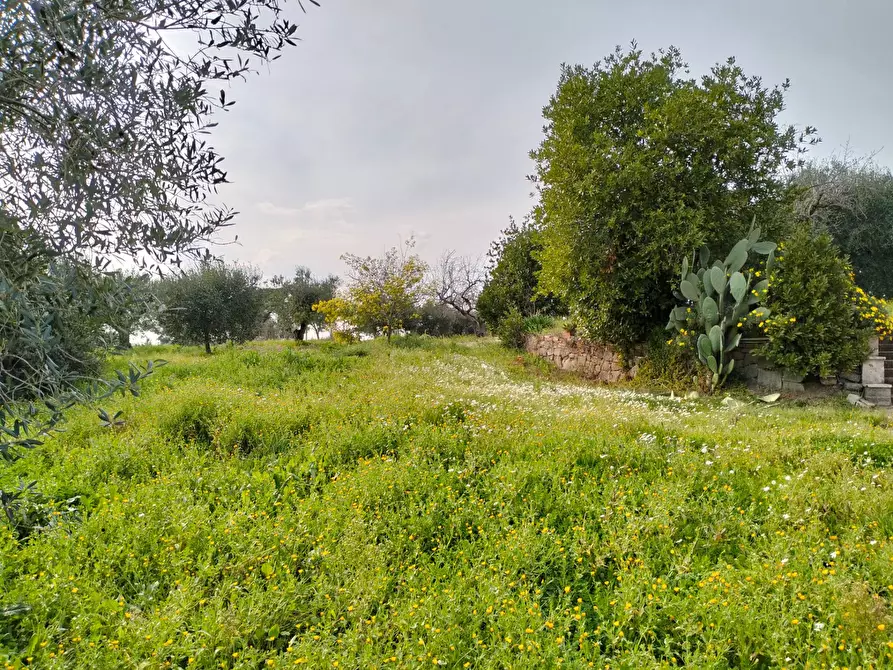 Immagine 18 di Casa indipendente in vendita  in via montagnanello a Ardea