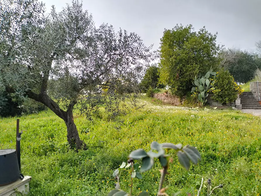 Immagine 20 di Casa indipendente in vendita  in via montagnanello a Ardea