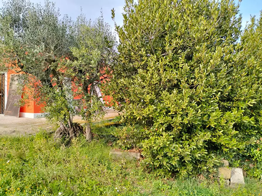 Immagine 21 di Casa indipendente in vendita  in via montagnanello a Ardea