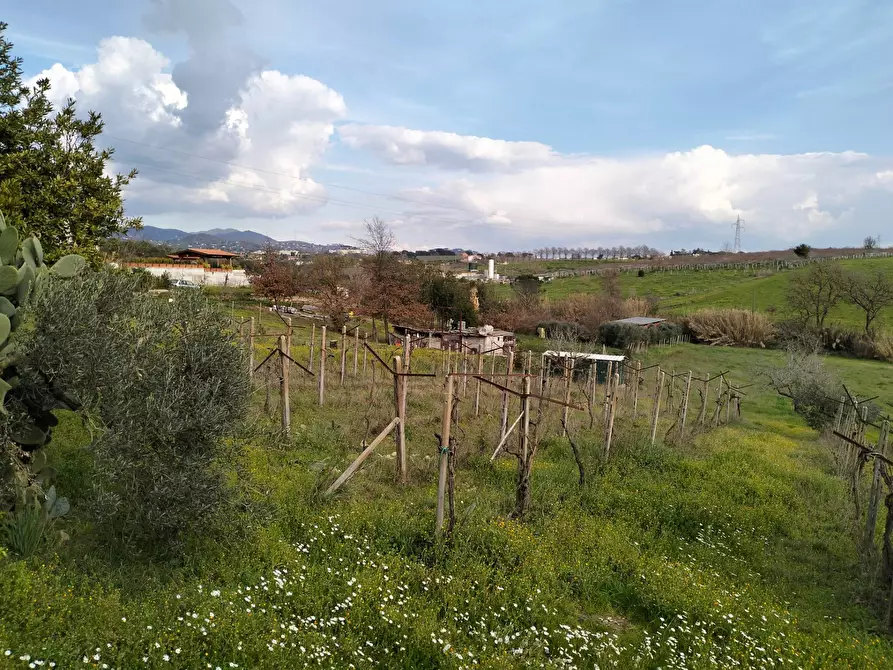 Immagine 22 di Casa indipendente in vendita  in via montagnanello a Ardea