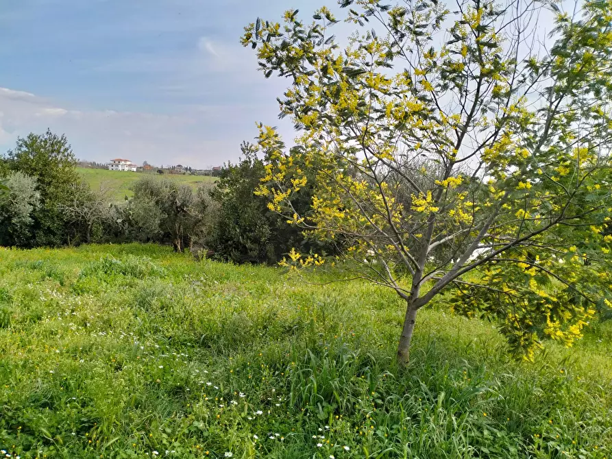 Immagine 23 di Casa indipendente in vendita  in via montagnanello a Ardea