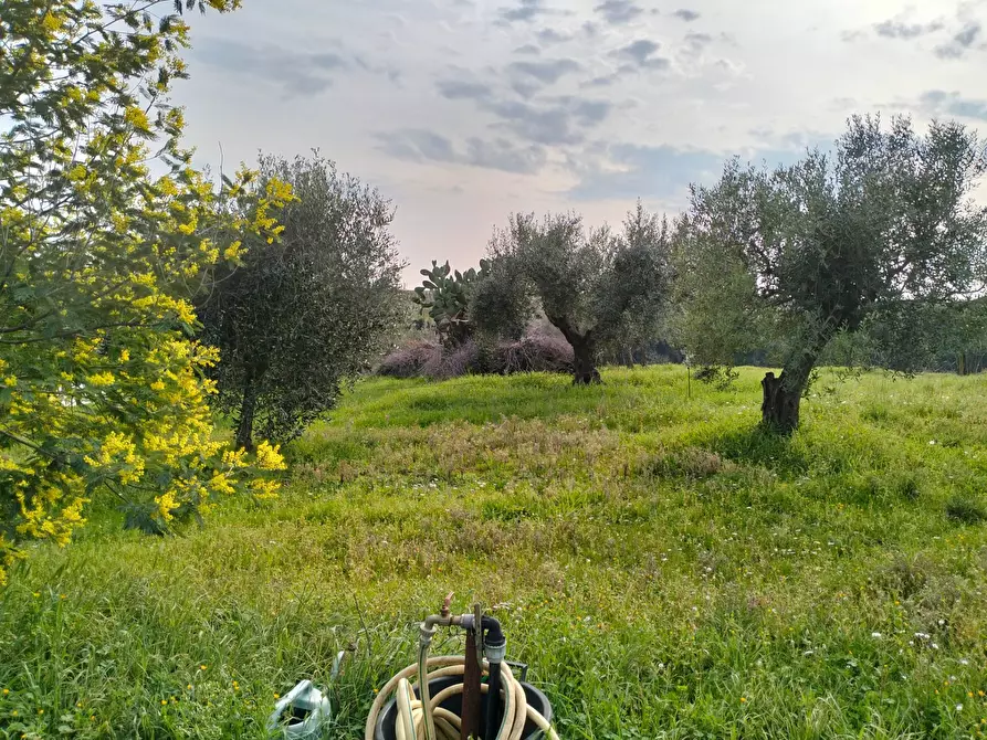 Immagine 24 di Casa indipendente in vendita  in via montagnanello a Ardea