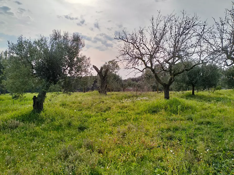 Immagine 8 di Casa indipendente in vendita  in via montagnanello a Ardea