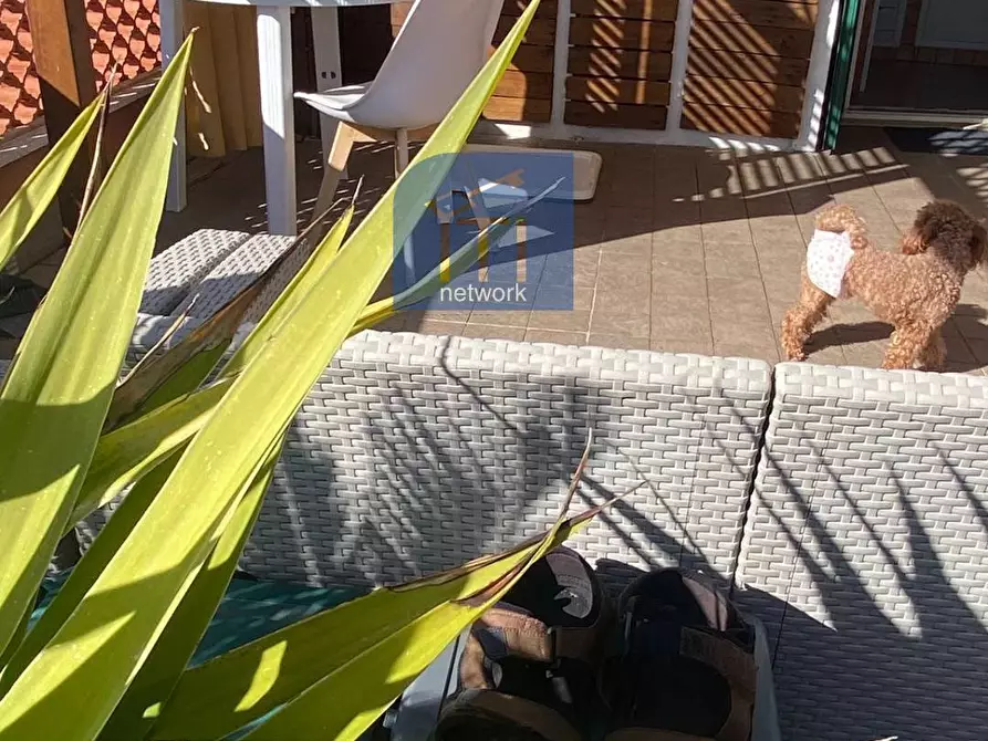 Immagine 3 di Attico in vendita  in via dei platani a Ardea