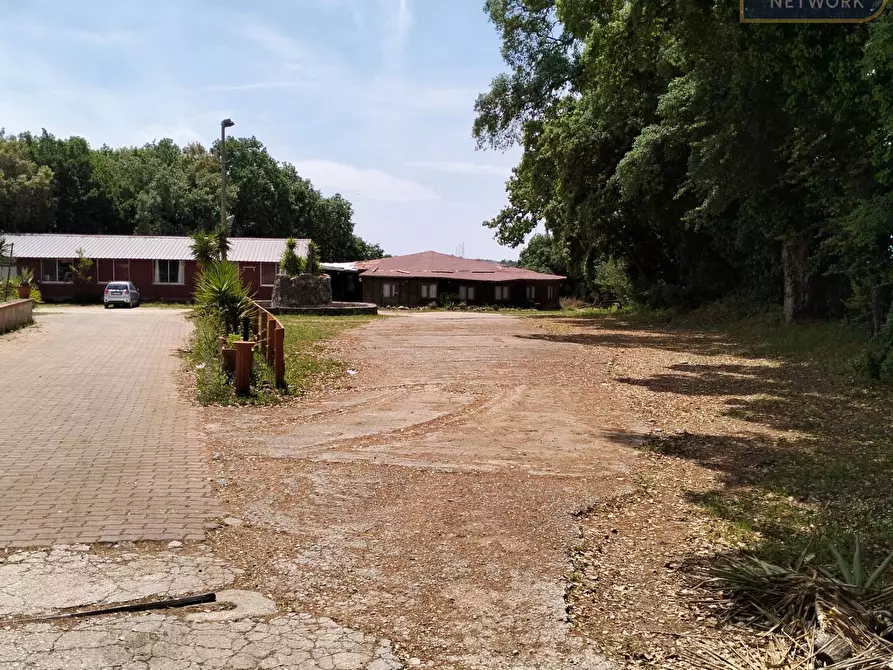 Immagine 5 di Agriturismo in vendita  in via Apriliana a Aprilia