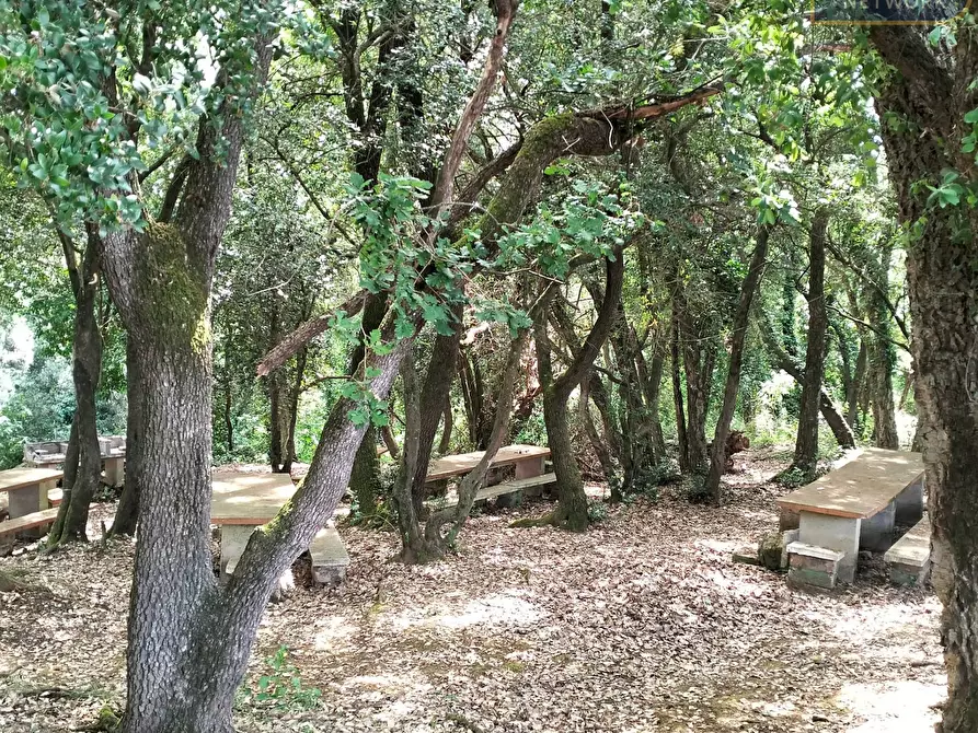 Immagine 7 di Agriturismo in vendita  in via Apriliana a Aprilia