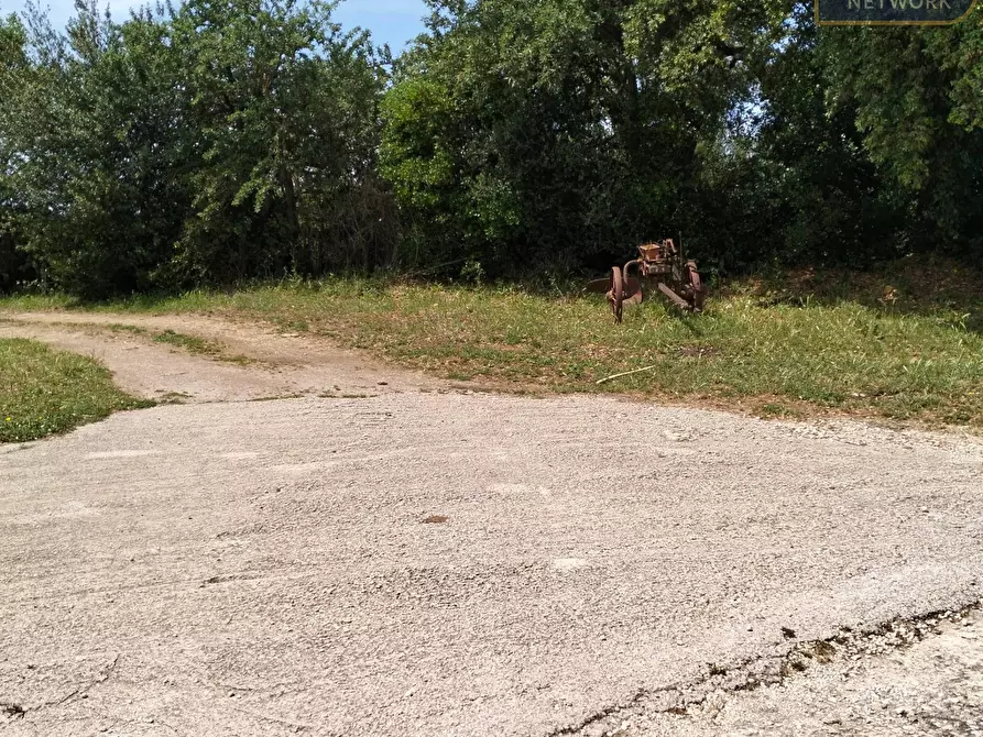 Immagine 9 di Agriturismo in vendita  in via Apriliana a Aprilia