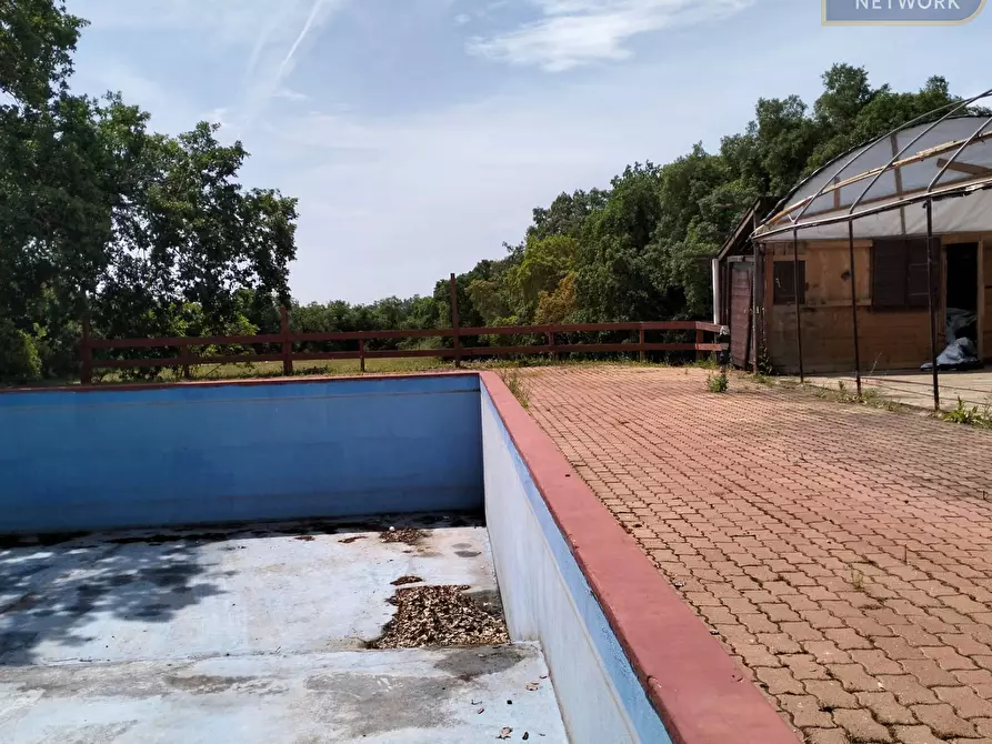 Immagine 17 di Agriturismo in vendita  in via Apriliana a Aprilia