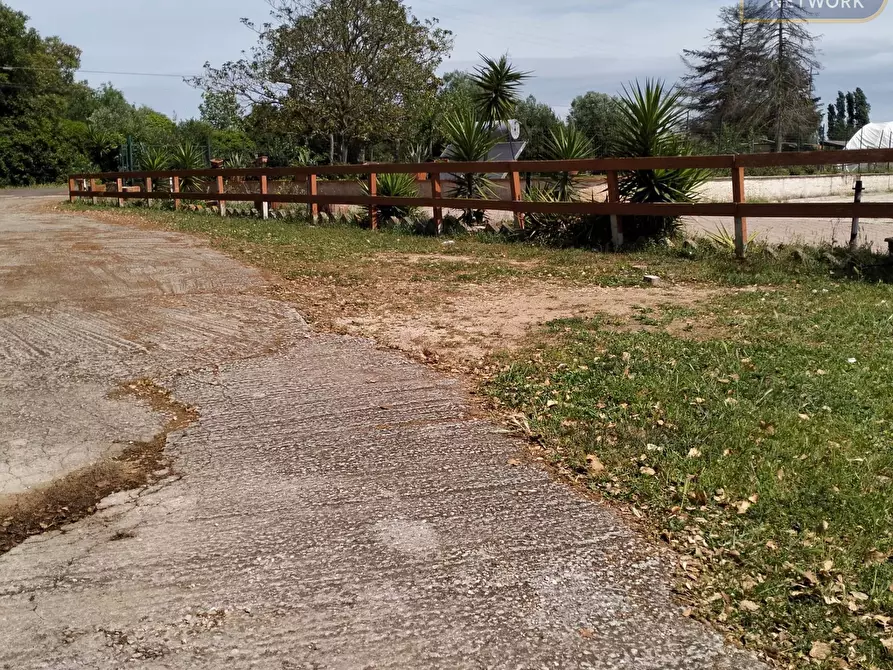 Immagine 24 di Agriturismo in vendita  in via Apriliana a Aprilia