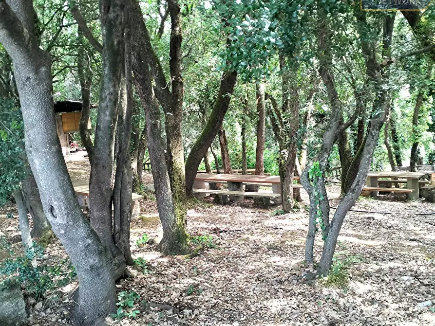 Immagine 26 di Agriturismo in vendita  in via Apriliana a Aprilia
