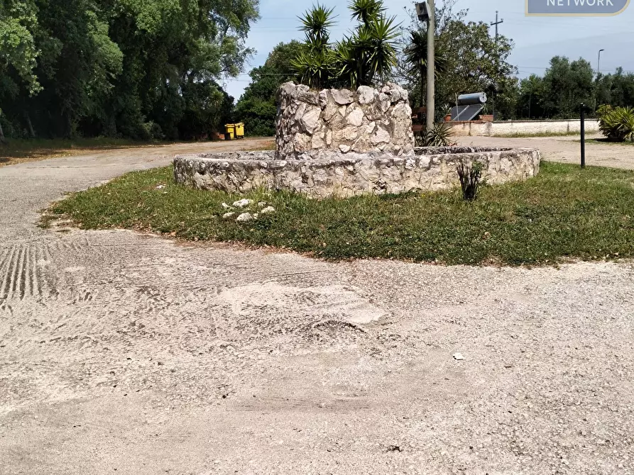 Immagine 32 di Agriturismo in vendita  in via Apriliana a Aprilia
