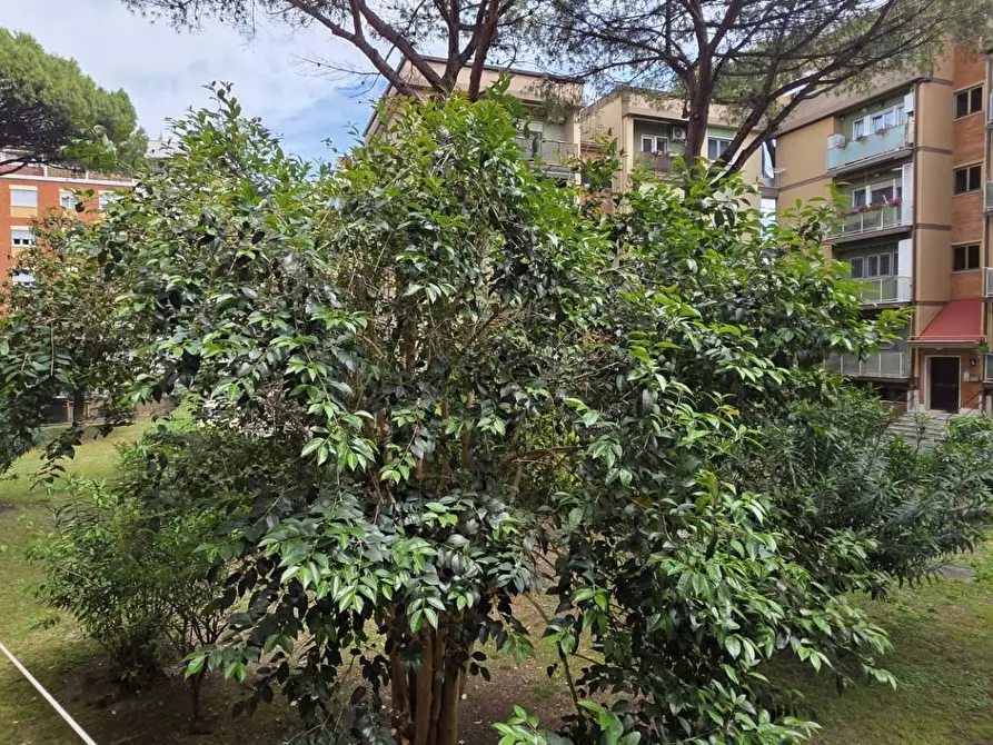 Immagine 27 di Appartamento in vendita  in Via Capo Spartivento 50 a Roma