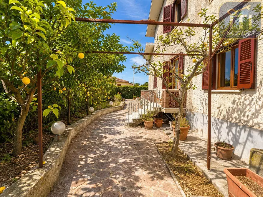 Immagine 9 di Villa in vendita  in via tanaro 91 a Ardea