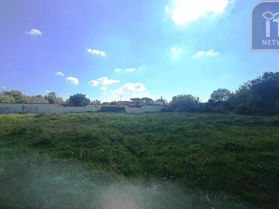 Immagine 4 di Terreno agricolo in vendita  in via del frumento a Ardea