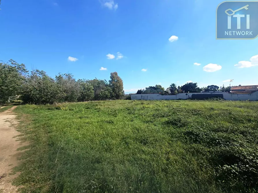 Immagine 5 di Terreno agricolo in vendita  in via del frumento a Ardea