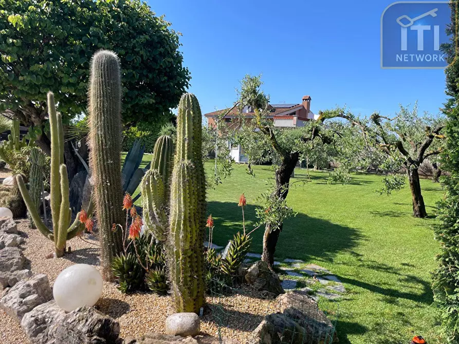 Immagine 1 di Villa in vendita  in via venere a Anzio