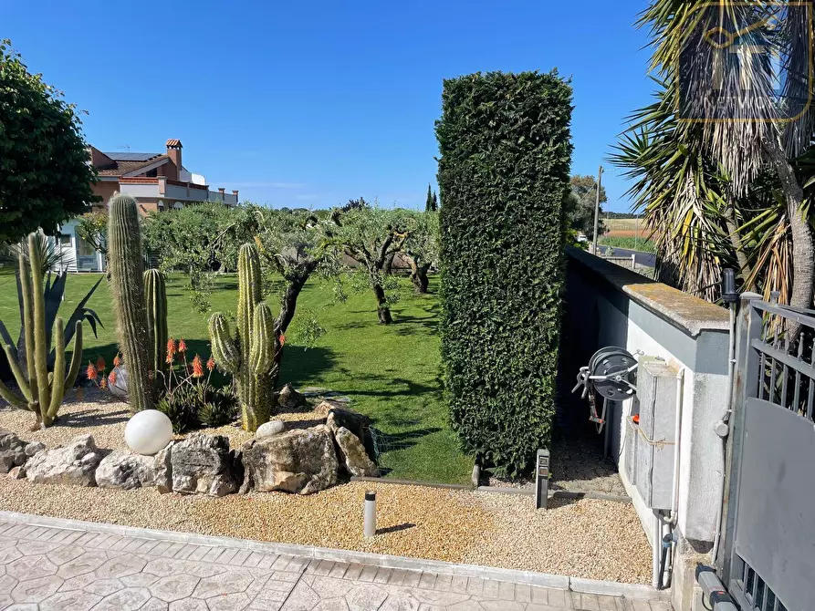 Immagine 4 di Villa in vendita  in via venere a Anzio