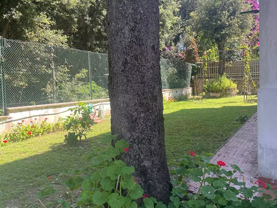 Immagine 7 di Villa in vendita  in via delle petunie a Anzio