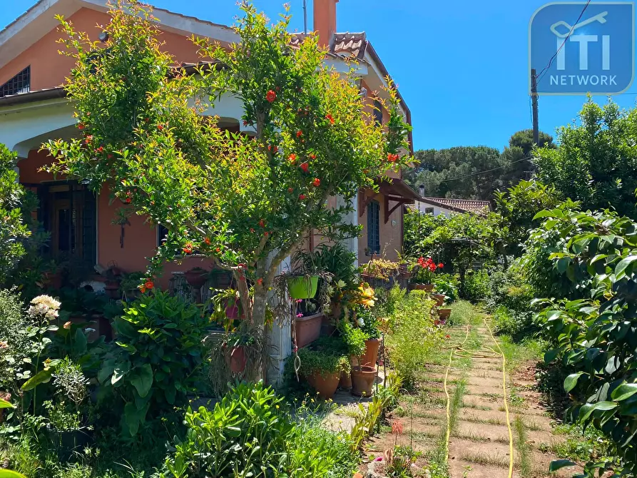 Immagine 6 di Villa in vendita  in Via Delle Acacie a Ardea