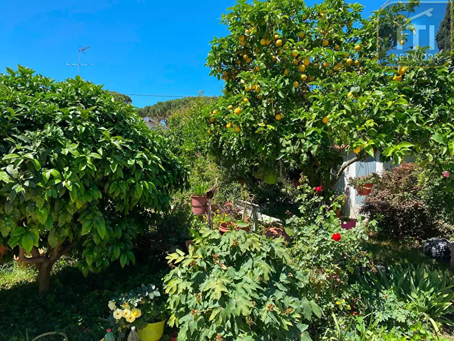 Immagine 9 di Villa in vendita  in Via Delle Acacie a Ardea