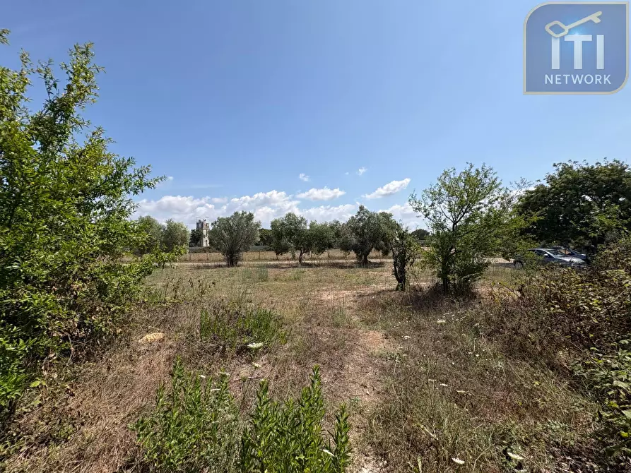 Immagine 3 di Rustico / casale in vendita  in Via Vaccareccia a Pomezia
