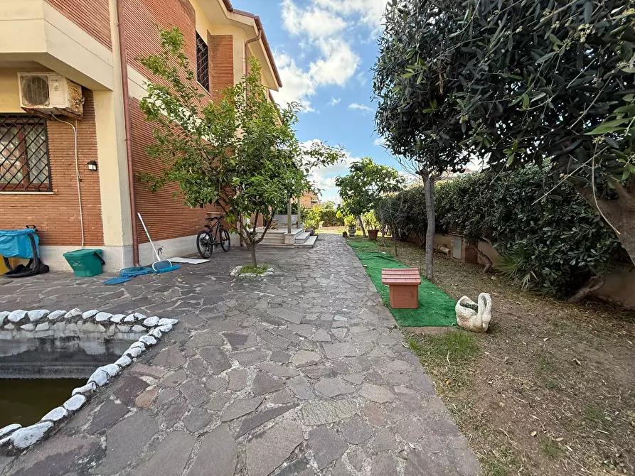 Immagine 49 di Villa in affitto  in Lungomare delle Sirene a Pomezia