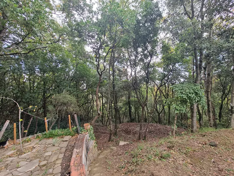 Immagine 13 di Casa indipendente in vendita  in Cinque Cerri a Bettona