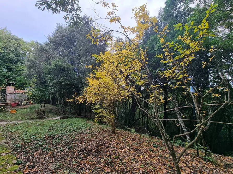 Immagine 14 di Casa indipendente in vendita  in Cinque Cerri a Bettona