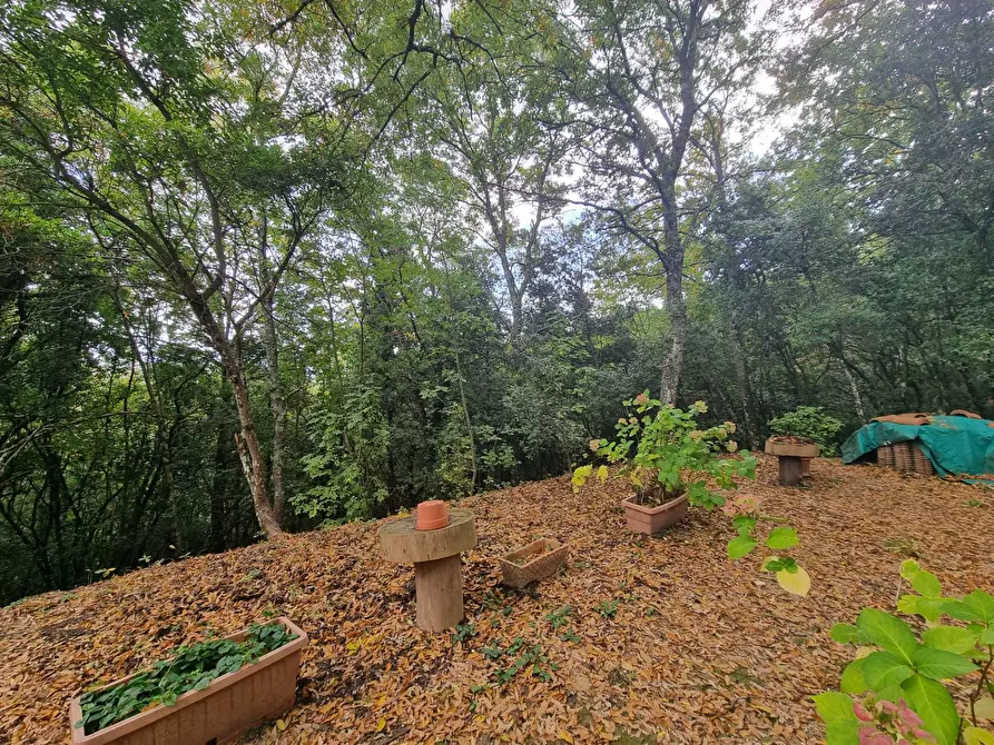 Immagine 15 di Casa indipendente in vendita  in Cinque Cerri a Bettona