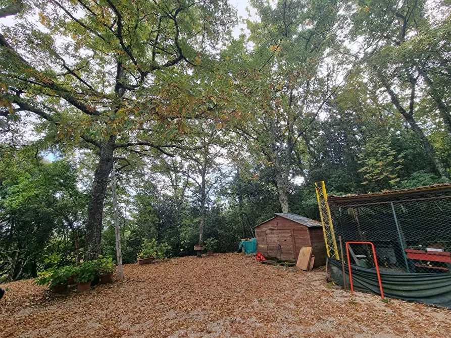 Immagine 16 di Casa indipendente in vendita  in Cinque Cerri a Bettona