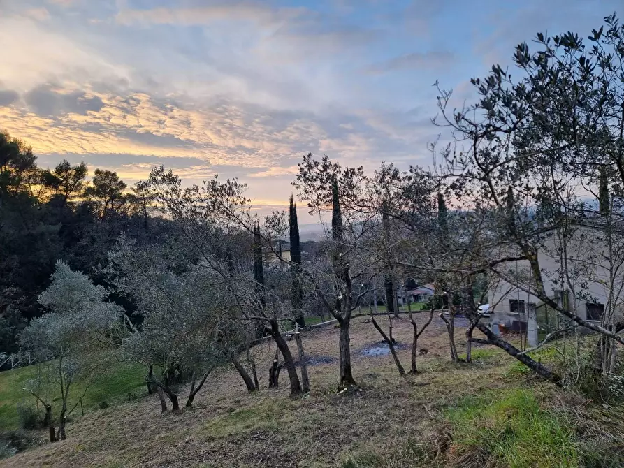 Immagine 8 di Casa indipendente in vendita  a Torgiano