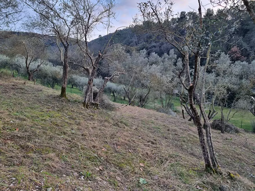 Immagine 19 di Casa indipendente in vendita  a Torgiano