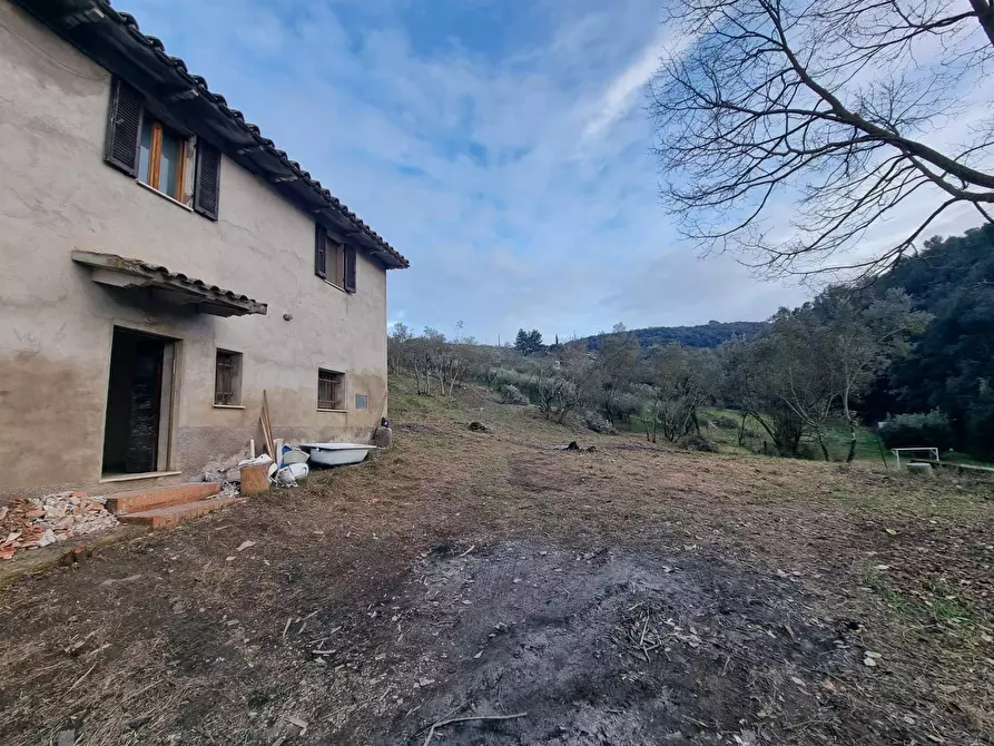 Immagine 2 di Casa indipendente in vendita  a Torgiano