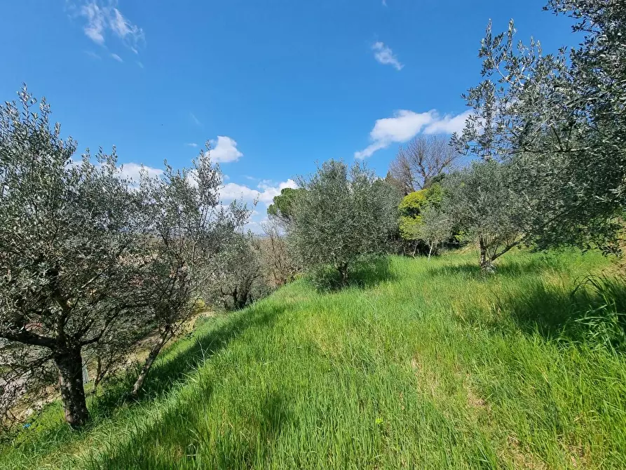 Immagine 29 di Appartamento in vendita  a Deruta