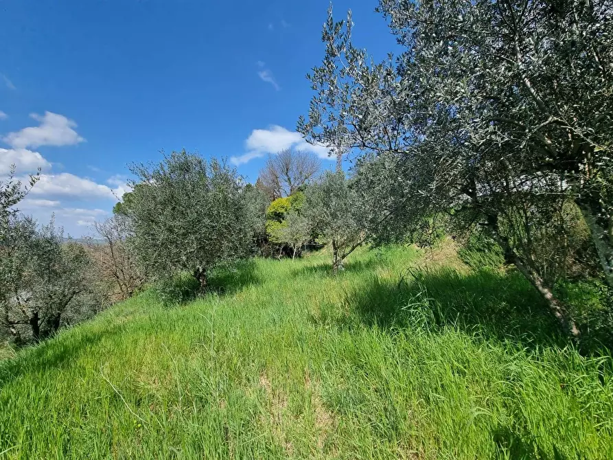 Immagine 28 di Appartamento in vendita  a Deruta