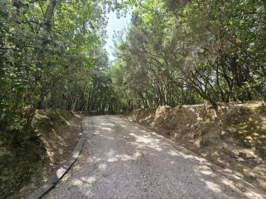 Immagine 43 di Casa indipendente in vendita  in Cinque Cerri a Bettona