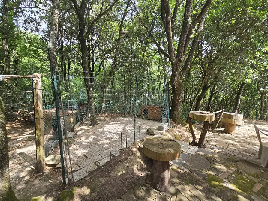 Immagine 17 di Casa indipendente in vendita  in Cinque Cerri a Bettona