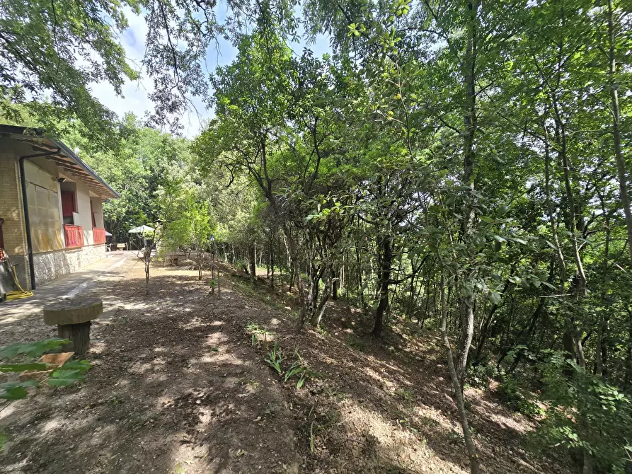 Immagine 36 di Casa indipendente in vendita  in Cinque Cerri a Bettona