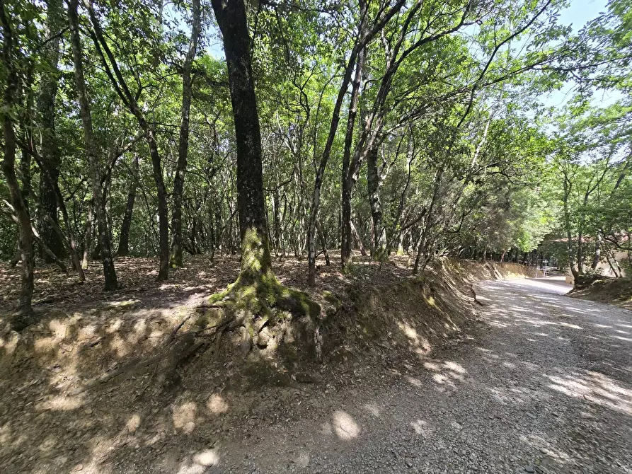 Immagine 41 di Casa indipendente in vendita  in Cinque Cerri a Bettona
