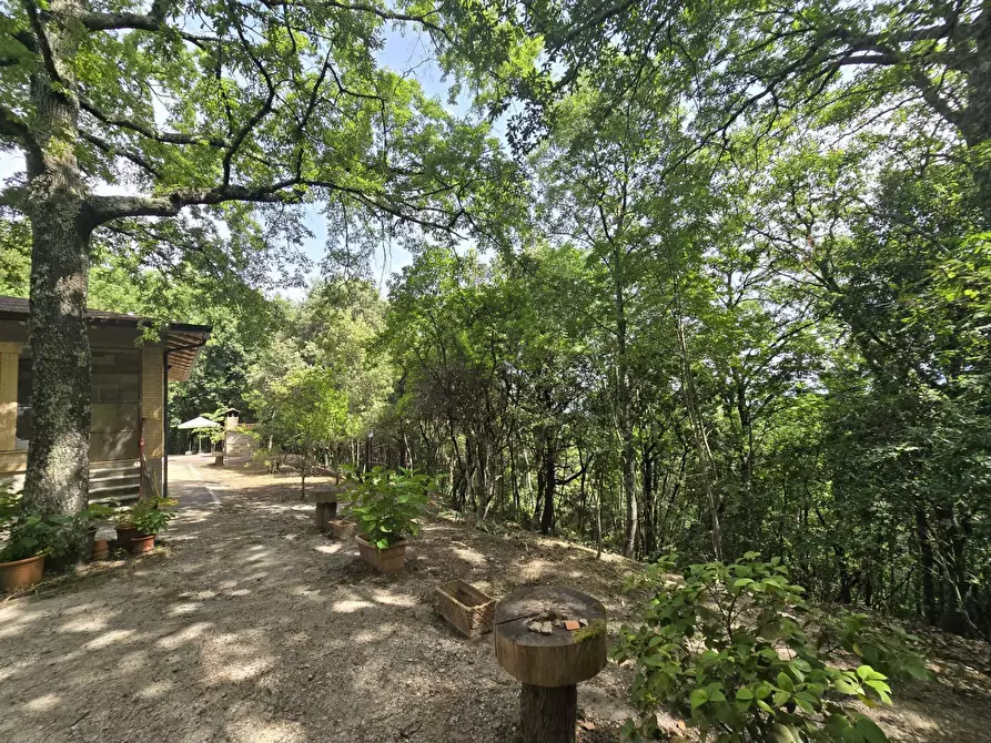 Immagine 44 di Casa indipendente in vendita  in Cinque Cerri a Bettona