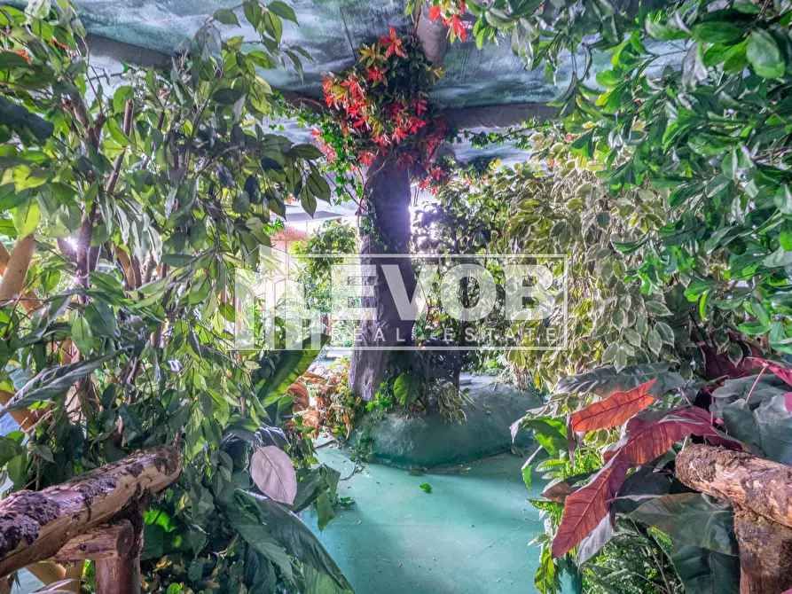 Immagine 25 di Casa indipendente in vendita  in Via Bellini 9 a Moncalieri