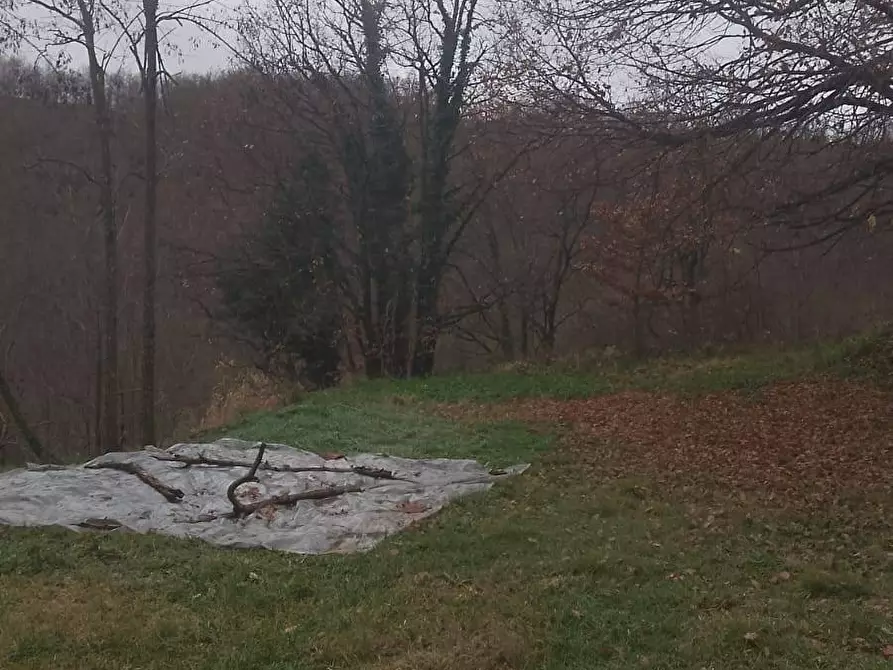 Immagine 2 di Casa indipendente in vendita  in Regione Val San Ry a Spigno Monferrato