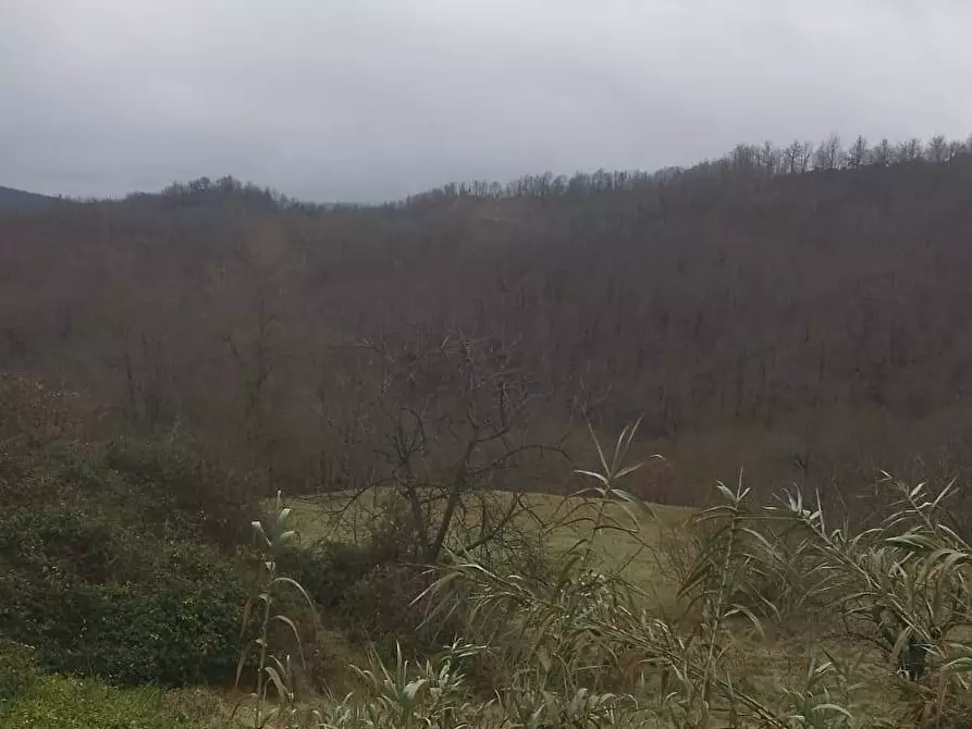 Immagine 17 di Casa indipendente in vendita  in Regione Val San Ry a Spigno Monferrato