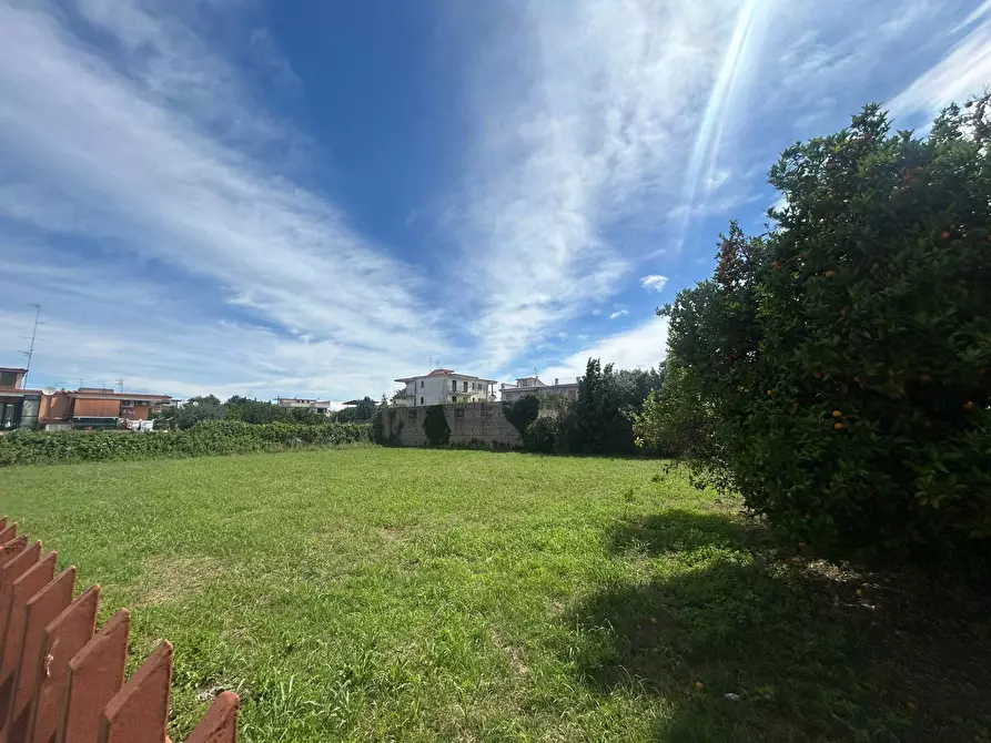 Immagine 1 di Terreno agricolo in affitto  in Via Ugo Foscolo a Casalnuovo Di Napoli
