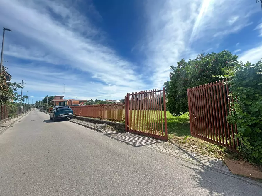 Immagine 4 di Terreno agricolo in affitto  in Via Ugo Foscolo a Casalnuovo Di Napoli