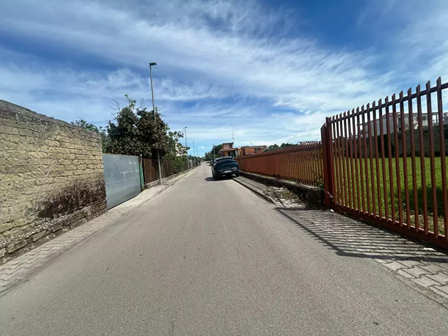Immagine 5 di Terreno agricolo in affitto  in Via Ugo Foscolo a Casalnuovo Di Napoli