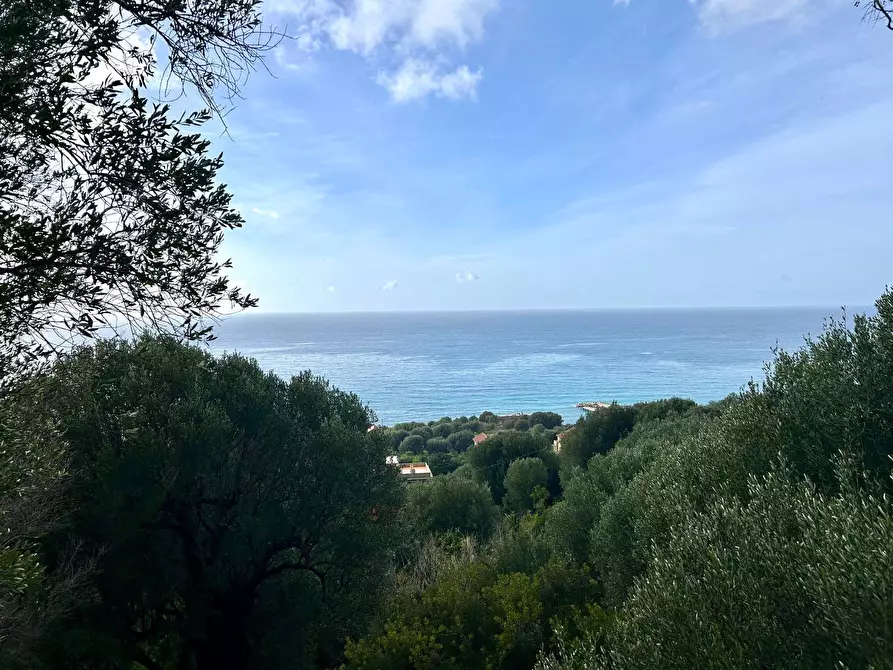 Immagine 1 di Casa indipendente in vendita  in Via Chiusa a Pisciotta